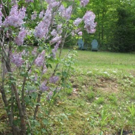 Tumble Inn Schroon Lake ภายนอก รูปภาพ