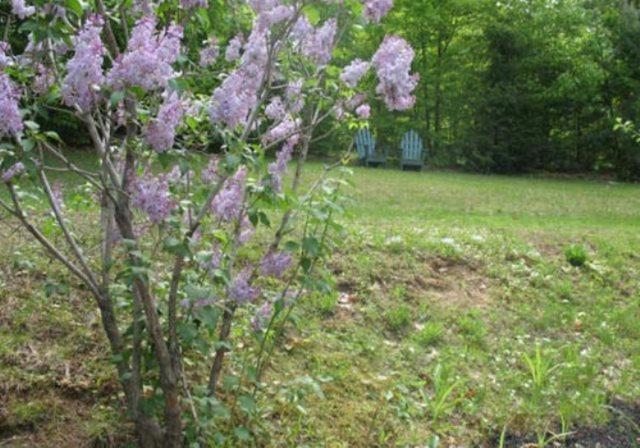 Tumble Inn Schroon Lake ภายนอก รูปภาพ