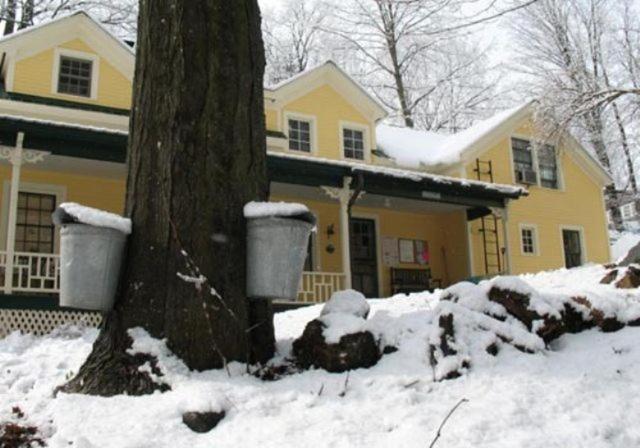 Tumble Inn Schroon Lake ภายนอก รูปภาพ